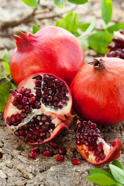 Pomegranates — Stock Photo, Image