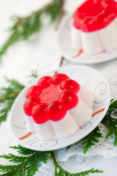 Panna cotta with fruit jelly — Stock Photo, Image
