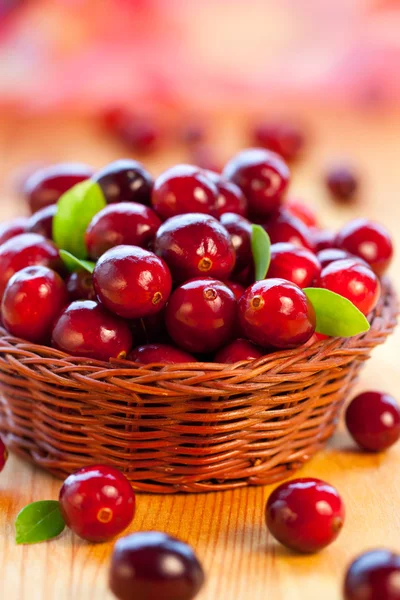 Frische rote Preiselbeeren — Stockfoto