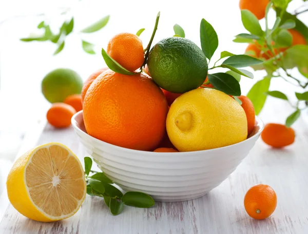 Blandade citrusfrukter — Stockfoto