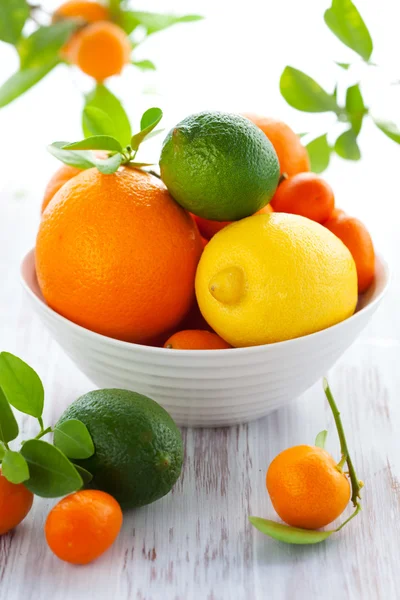 混合柑橘果实 — 图库照片
