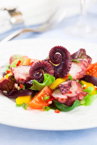 Octopus salad — Stock Photo, Image