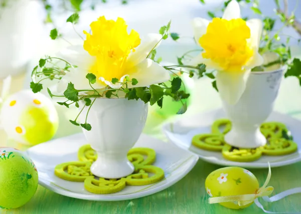 Narcisů v eggcups — Stock fotografie