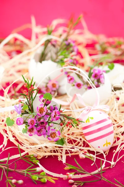 Flores rosas en cáscaras de huevo — Foto de Stock