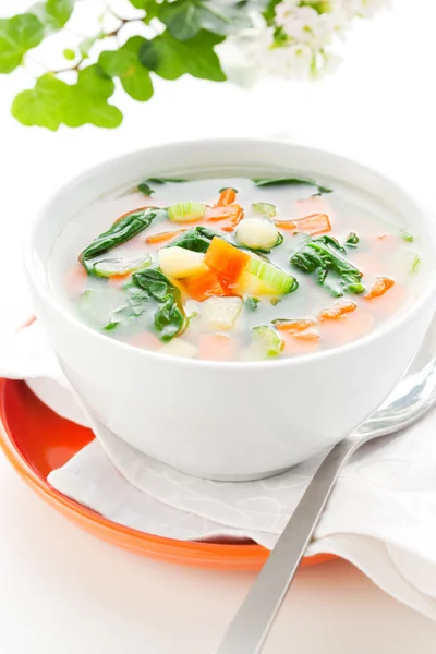 Sopa de verduras — Foto de Stock