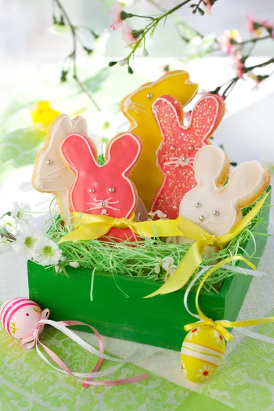 Easter bunny ciasteczka — Zdjęcie stockowe