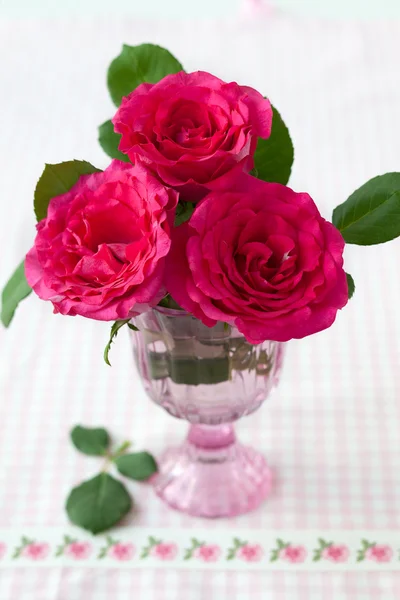 Rosas rosadas — Foto de Stock