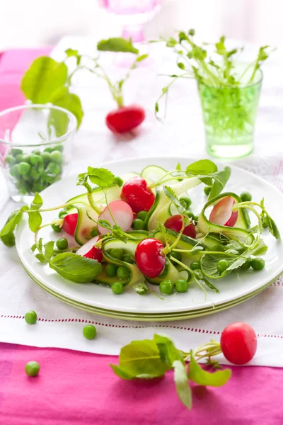 Salada de primavera — Fotografia de Stock