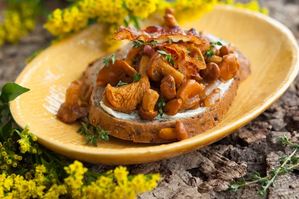 Chanterelle Sandwiches — Stock Photo, Image