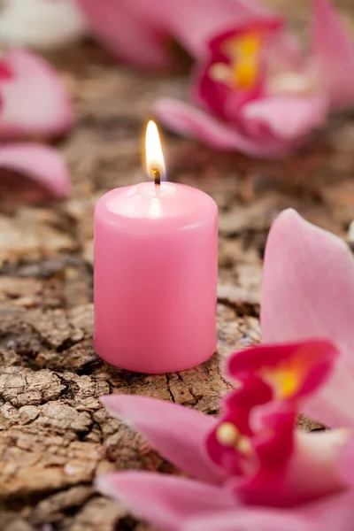 Candle and orchids — Stock Photo, Image