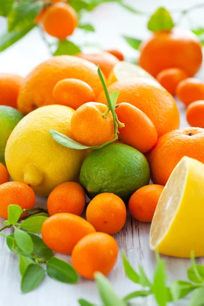 Färska citrusfrukter — Stockfoto