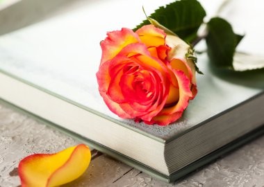 bir kitap üzerine gül