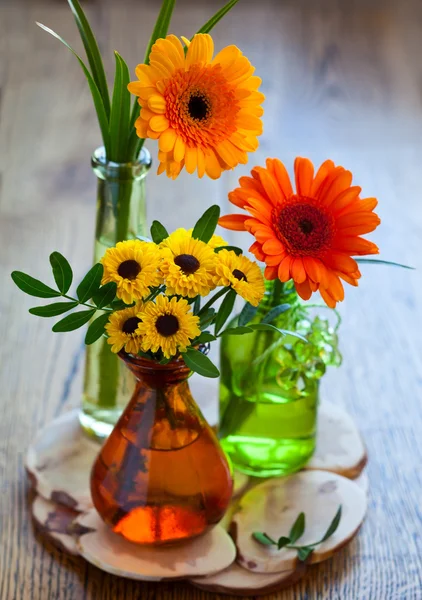Ramo de crisantemo y gerberas —  Fotos de Stock