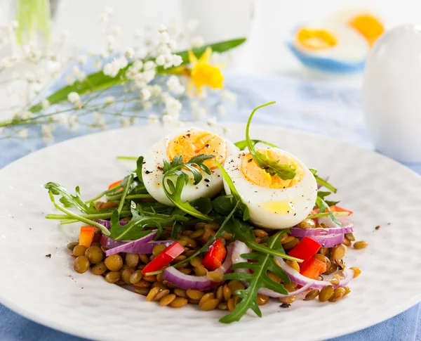 レンズ豆と卵のサラダ — ストック写真
