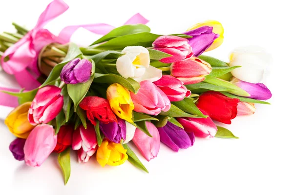 Spring tulips — Stock Photo, Image