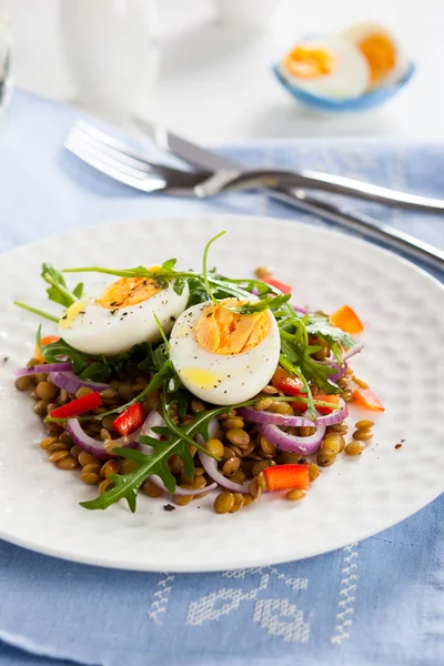 小扁豆和鸡蛋沙拉 — 图库照片