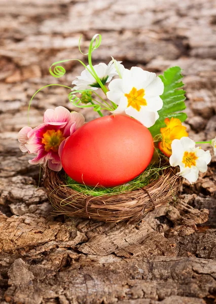 Easter eggs — Stock Photo, Image