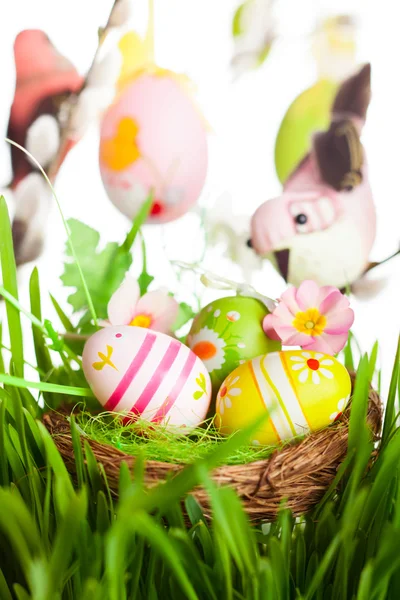 Paskalya yumurtaları ve kuşlar — Stok fotoğraf