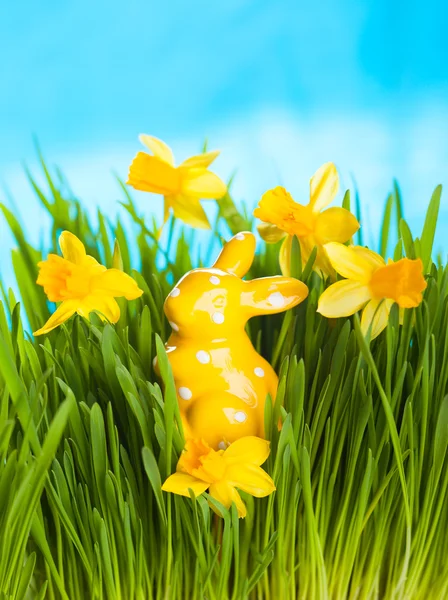 Osterhase auf grünem Gras — Stockfoto