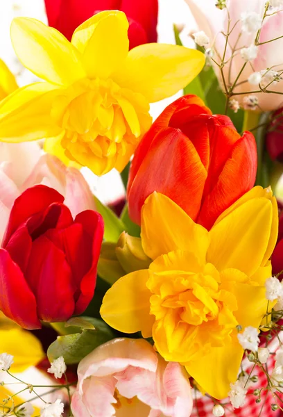 Voorjaarsbloemen — Stockfoto