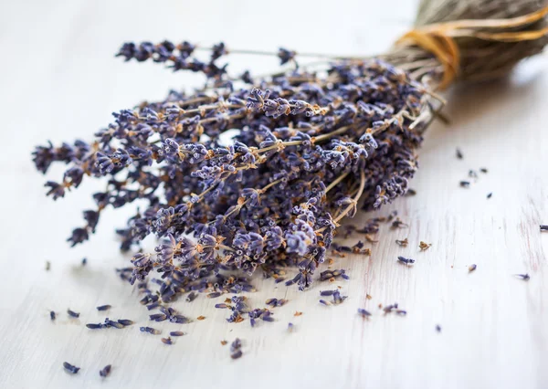 Bunch of lavender flowers 