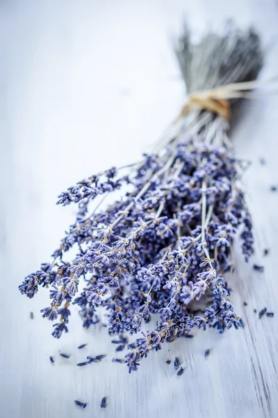 Bund Lavendelblüten — Stockfoto