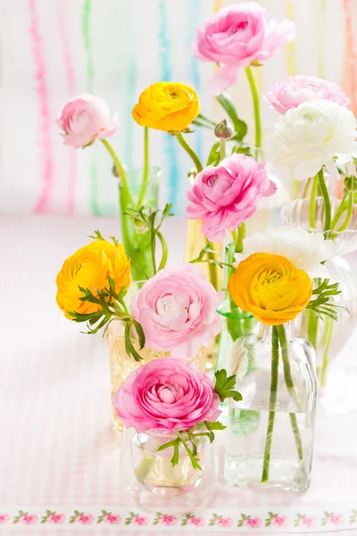 Ranunculus coloré — Photo