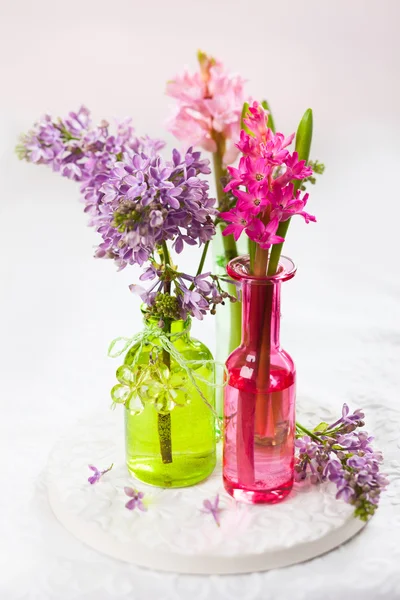 Flores de primavera — Fotografia de Stock