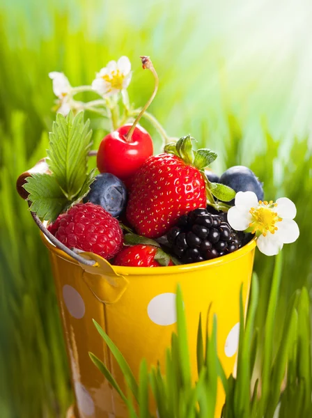 Fresh berries — Stock Photo, Image