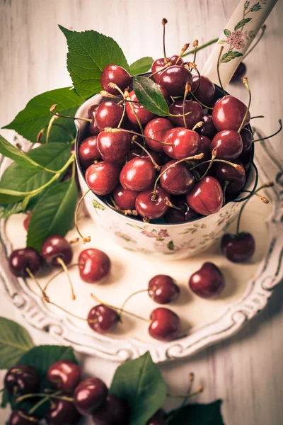 Čerstvé třešně — Stock fotografie