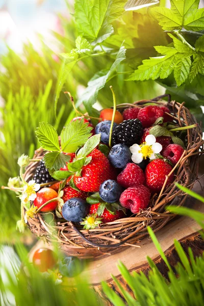 Fresh berries — Stock Photo, Image