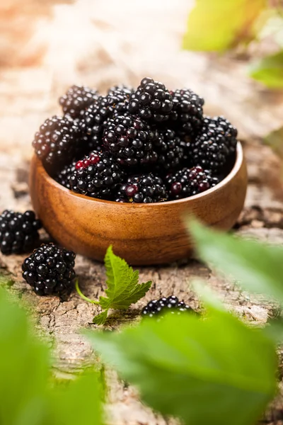 Blackberry — Stock Photo, Image