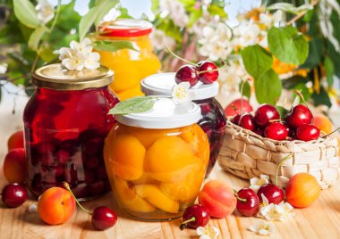 Preserved  fruit and berries clipart