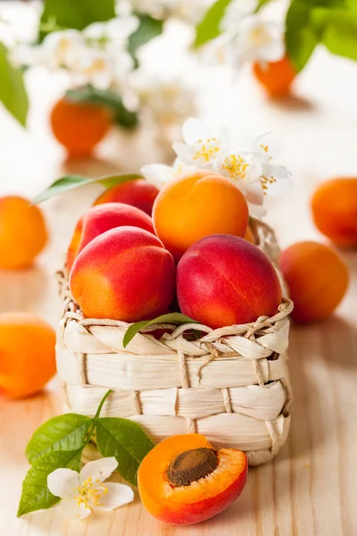 Färska aprikoser — Stockfoto