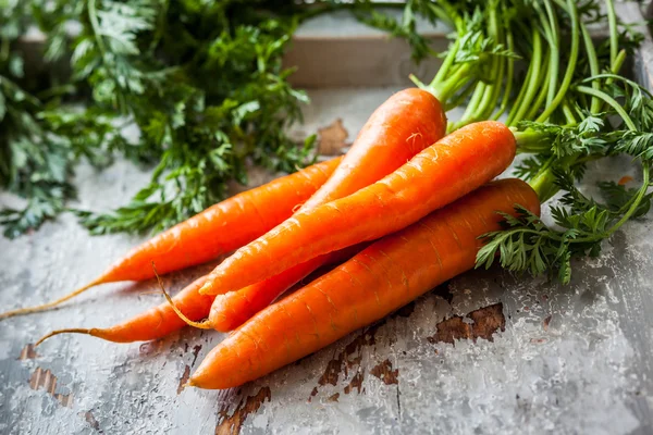 Frische Bio-Karotten — Stockfoto