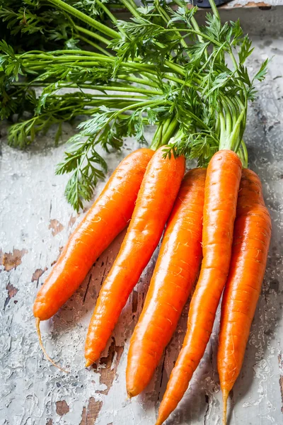 Frische Bio-Karotten — Stockfoto