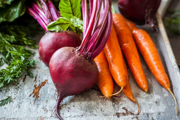 Морковь и свекла — стоковое фото
