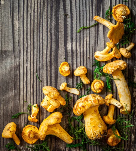 Mushrooms background — Stock Photo, Image
