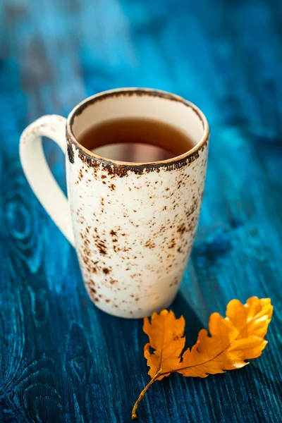 Taza de té — Foto de Stock