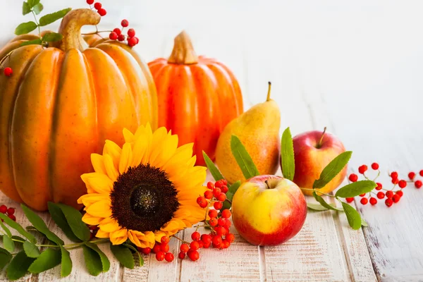 Autumn still life — Stock Photo, Image