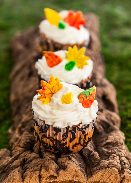 秋のカップケーキ — ストック写真