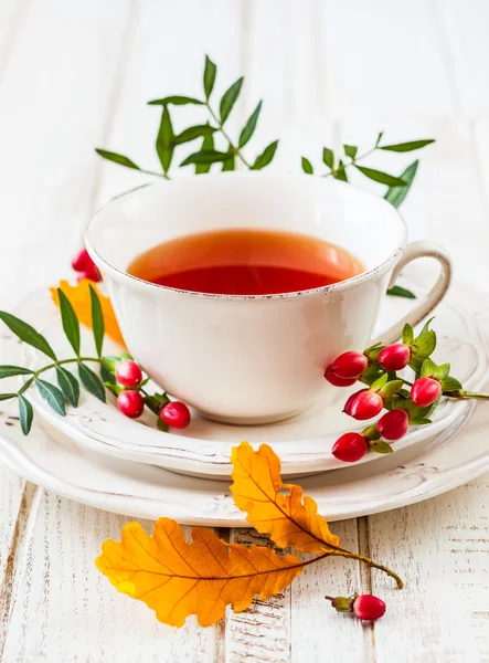 Taza de té — Foto de Stock