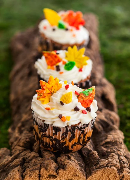 Homemade cupcakes — Stock Photo, Image