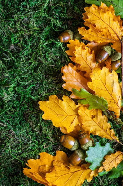 Fondo de otoño —  Fotos de Stock