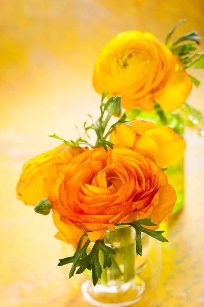 Beautiful Yellow Ranunculus Vase — Stock Photo, Image