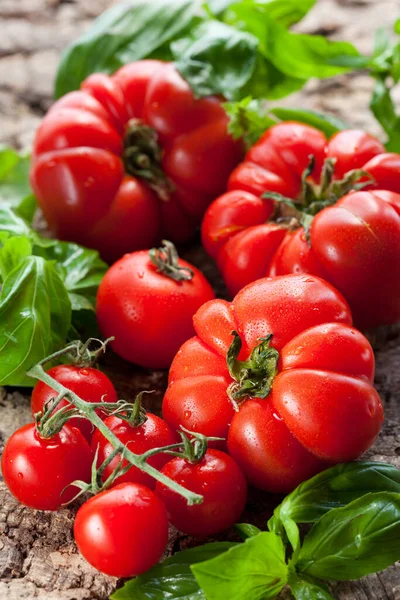 Tomates Frescos Albahaca Fondo Madera —  Fotos de Stock