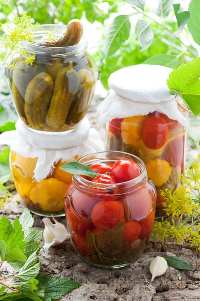 Konserverade Tomater Gurka Paprika Och Patisson Burkar — Stockfoto