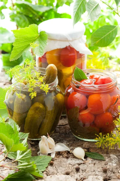 Konserverade Tomater Gurka Paprika Och Patisson Burkar — Stockfoto