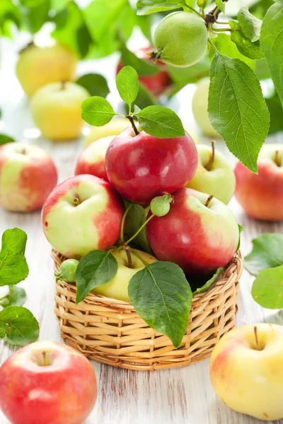 Rote Grüne Und Gelbe Äpfel Mit Blättern Korb — Stockfoto