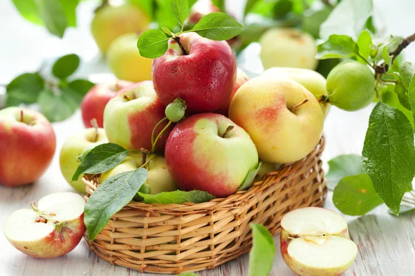 Rote Grüne Und Gelbe Äpfel Mit Blättern Korb — Stockfoto